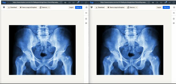 telehealth cobrowse